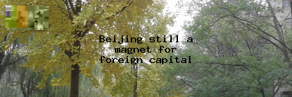 Beijing still a magnet for foreign capital